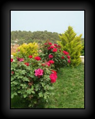 r120.jpg