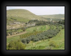 r26.jpg