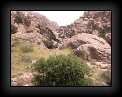 r46.jpg